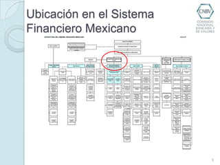 Ubicación en el Sistema Financiero Mexicano8