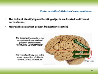 • The tasks of identifying and locating objects are located in different
cortical areas
• Neuronal circuits that project from [striate cortex]
Posterior shift of Alzheimer’s neuropathology
The ventral pathway acts in the
visual recognition of objects
“STIMULUS RECOGNITION”
The dorsal pathway acts in the
recognition of space (visual
guidance of movement)
“STIMULUS LOCALIZATION “
STS
Striate	cortex
ITG
27
 