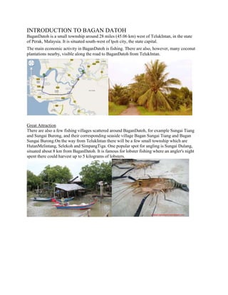 INTRODUCTION TO BAGAN DATOH
BaganDatoh is a small township around 28 miles (45.06 km) west of TelukIntan, in the state
of Perak, Malaysia. It is situated south-west of Ipoh city, the state capital.
The main economic activity in BaganDatoh is fishing. There are also, however, many coconut
plantations nearby, visible along the road to BaganDatoh from TelukIntan.

Great Attraction
There are also a few fishing villages scattered around BaganDatoh, for example Sungai Tiang
and Sungai Burong, and their corresponding seaside village Bagan Sungai Tiang and Bagan
Sungai Burong.On the way from TelukIntan there will be a few small township which are
HutanMelintang, Selekoh and SimpangTiga. One popular spot for angling is Sungai Dulang,
situated about 8 km from BaganDatoh. It is famous for lobster fishing where an angler's night
spent there could harvest up to 5 kilograms of lobsters.

 