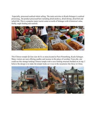 Especially, processed seafood whole selling. The main activities in Kuala Selangor is seafood
processing , the product processed here including dried anchovy, dried shrimp, dried fish and
salted fish. This is a popular major tourist center at north of Selangor with it historical value,
firefly, eagle feeding and seafood.

This Chinese temple Qi Jian xian shi fo zu miao,located at Pasir Penambang, Kuala Selangor.
Many visitors are seen offering candles and incense in this place of worship. From afar, one
could see this strange looking Chinese temple with a cave looking structure builded on its top. I
believe the design is to make the temple looks as it was in the mountains like those in China.

 