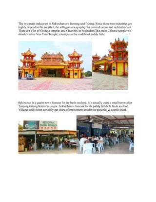 The two main industries in Sekinchan are farming and fishing. Since these two industries are
highly depend to the weather, the villagers always play for calm of ocean and rich in harvest.
There are a lot of Chinese temples and Churches in Sekinchan.The main Chinese temple we
should visit is Nan Tian Temple, a temple in the middle of paddy field.

Sekinchan is a quaint town famous for its fresh seafood. It’s actually quite a small town after
TanjungKarang/Kuala Selangor. Sekinchan is famous for its paddy fields & fresh seafood.
Villager and visitor certainly get share of excitement amidst the peaceful & scenic town.

 
