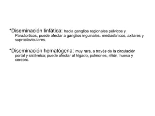 *Diseminación linfática: hacia ganglios regionales pélvicos y
Paraàorticos, puede afectar a ganglios inguinales, mediastinicos, axilares y
supraclaviculares.
*Diseminación hematógena: muy rara, a través de la circulación
portal y sistémica; puede afectar al hígado, pulmones, riñón, hueso y
cerebro.
 