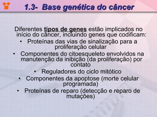 1.3-  Base genética do câncer Diferentes  tipos de genes  estão implicados no início do câncer, incluindo genes que codificam: Proteínas das vias de sinalização para a proliferação celular  Componentes do citoesqueleto envolvidos na manutenção da inibição (da proliferação) por contato  Reguladores do ciclo mitótico  Componentes da apoptose (morte celular programada)  Proteínas de reparo (detecção e reparo de mutações)  