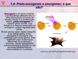 1.4- Proto-oncogenes e oncogenes: o que são?   Oncogene   é um gene mutante cuja expressão alterada leva a uma estimulação anormal da divisão celular e à proliferação. Assim,  proto-oncogene  é o mesmo gene normal, cuja função é a mesma observada no oncogene, porém regulada pela célula.  Muitos genes caem nesta categoria e as designações proto-oncogene e oncogene são coletivos para estes genes. Eles codificam para muitos tipos diferentes de proteínas e enzimas, desde transdutores transmembrana e receptores até enzimas citoplasmáticas, mitocondriais ou nucleares. (www.scq.ubc.ca/07/oncogene-formation.jpg) 