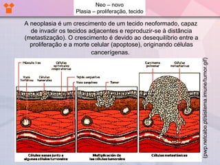 A neoplasia é um crescimento de um tecido neoformado, capaz de invadir os tecidos adjacentes e reproduzir-se à distância (metastização). O crescimento é devido ao desequilíbrio entre a proliferação e a morte celular (apoptose), originando células cancerígenas.   Neo – novo Plasia – proliferação, tecido (pwp.netcabo.pt/sistema.imune/tumor.gif) 