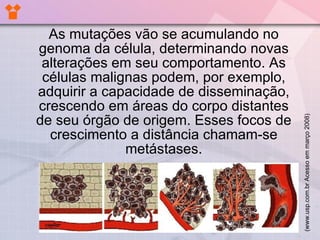 As mutações vão se acumulando no genoma da célula, determinando novas alterações em seu comportamento. As células malignas podem, por exemplo, adquirir a capacidade de disseminação, crescendo em áreas do corpo distantes de seu órgão de origem. Esses focos de crescimento a distância chamam-se metástases. (www.usp.com.br Acesso em março 2008) 