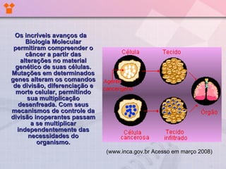 Os incríveis avanços da Biologia Molecular permitiram compreender o câncer a partir das alterações no material genético de suas células. Mutações em determinados genes alteram os comandos de divisão, diferenciação e morte celular, permitindo sua multiplicação desenfreada. Com seus mecanismos de controle da divisão inoperantes passam a se multiplicar independentemente das necessidades do organismo. (www.inca.gov.br Acesso em março 2008) 