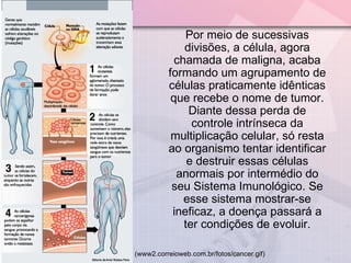 (www2.correioweb.com.br/fotos/cancer.gif) Por meio de sucessivas divisões, a célula, agora chamada de maligna, acaba formando um agrupamento de células praticamente idênticas que recebe o nome de tumor. Diante dessa perda de controle intrínseca da multiplicação celular, só resta ao organismo tentar identificar e destruir essas células anormais por intermédio do seu Sistema Imunológico. Se esse sistema mostrar-se ineficaz, a doença passará a ter condições de evoluir. 