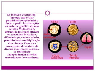 Os incríveis avanços da
Biologia Molecular
permitiram compreender o
câncer a partir das alterações
no material genético de suas
células. Mutações em
determinados genes alteram
os comandos de divisão,
diferenciação e morte celular,
permitindo sua multiplicação
desenfreada. Com seus
mecanismos de controle da
divisão inoperantes passam a
se multiplicar
independentemente das
necessidades do organismo.
 
