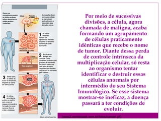 (www2.correioweb.com.br/fotos/cancer.gif)
Por meio de sucessivas
divisões, a célula, agora
chamada de maligna, acaba
formando um agrupamento
de células praticamente
idênticas que recebe o nome
de tumor. Diante dessa perda
de controle intrínseca da
multiplicação celular, só resta
ao organismo tentar
identificar e destruir essas
células anormais por
intermédio do seu Sistema
Imunológico. Se esse sistema
mostrar-se ineficaz, a doença
passará a ter condições de
evoluir.
 