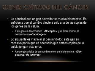 GENES CRÍTICOS DEL CÁNCER
• Lo principal que un gen activador se vuelva hiperactivo. Es
suficiente que el cambio afecte a solo una de las copias de
los genes de la célula.
• Este gen es denominado, «Oncogén» y el alelo normal se
denomina «proto-oncogen»
• Lo siguiente es inactivar el gen inhibidor, este gen es
recesivo por lo que es necesario que ambas copias de la
célula tengan este error.
• A este gen a falta de un nombre mejor se le denomina: «Gen
supresor de tumores»
 