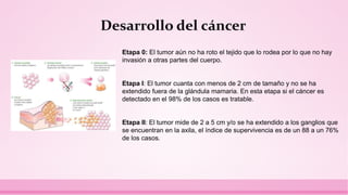 Desarrollo del cáncer
Etapa 0: El tumor aún no ha roto el tejido que lo rodea por lo que no hay
invasión a otras partes del cuerpo.
Etapa I: El tumor cuanta con menos de 2 cm de tamaño y no se ha
extendido fuera de la glándula mamaria. En esta etapa si el cáncer es
detectado en el 98% de los casos es tratable.
Etapa II: El tumor mide de 2 a 5 cm y/o se ha extendido a los ganglios que
se encuentran en la axila, el índice de supervivencia es de un 88 a un 76%
de los casos.
 