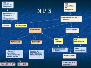 NPS NPS con criterios de benignidad NPS sospechoso de malignidad Seguimiento RX: Trimestral el 1º año Anual posterior FIBROBRONCOSCOPIA Y BIOPSIA ESTABLE MODIFICADO MALIGNIDAD NEGATIVIDAD METÁSTASIS TUMOR 1º NPS  CENTRAL NPS  PERIFÉRICO -  Tumor 1º controlado - Ausencia de Mts en otro órgano Estudios de  OPERABILIDAD RESECABILIDAD BRONCOSCOPIA +  BIOPSIA PAAF  transtorácica NEGATIVIDAD TORACOSTOMÍA diagnóstica NO   QT+/- RT SÍ    QX 