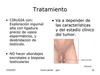 Cáncer Genital