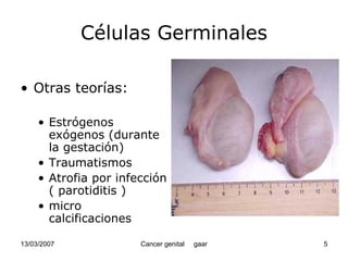 Cáncer Genital
