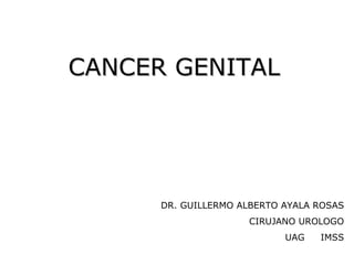 CANCER GENITAL




      DR. GUILLERMO ALBERTO AYALA ROSAS
                     CIRUJANO UROLOGO
                            UAG   IMSS
 