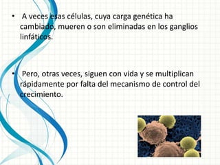 • A veces esas células, cuya carga genética ha
cambiado, mueren o son eliminadas en los ganglios
linfáticos.
• Pero, otras veces, siguen con vida y se multiplican
rápidamente por falta del mecanismo de control del
crecimiento.
 