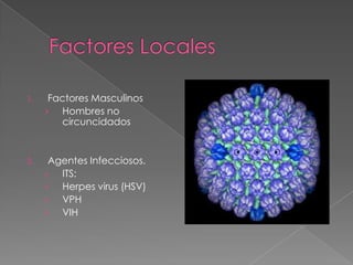 1.    Factores Masculinos
     › Hombres no
         circuncidados


2.    Agentes Infecciosos.
     › ITS:
     › Herpes virus (HSV)
     › VPH
     › VIH
 
