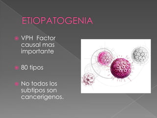    VPH Factor
    causal mas
    importante

   80 tipos

   No todos los
    subtipos son
    cancerigenos.
 