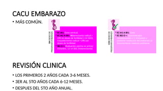 CACU EMBARAZO
• MÁS COMÚN.
REVISIÓN CLINICA
• LOS PRIMEROS 2 AÑOS CADA 3-6 MESES.
• 3ER AL 5TO AÑOS CADA 6-12 MESES.
• DESPUES DEL 5TO AÑO ANUAL.
SIN
DESEO
DE
PRESERVAR
EMBARAZO
• EC IA1: Cono cervical.
• EC IA2 A IB1: Histerectomía radical +
LPB sin deseo de fertilidad (<24 SDG),
traquelectomía radical + LPB con
deseo de fertilidad.
• IB2 O >: Evaluación uterina en primer
trimestre, 12-14 SDG (histerectomía)
CON
DESEO
DE
PRESERVAR
EMBARAZO
• EC IA1 A IB1: Cono
• EC IB2 O >: Quimioterapia
neoadyuvantes (>1 trimestre) y
posterior resolución del embarazo al
documentarse madurez pulmonar.
 
