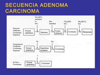 SECUENCIA ADENOMA
CARCINOMA
 