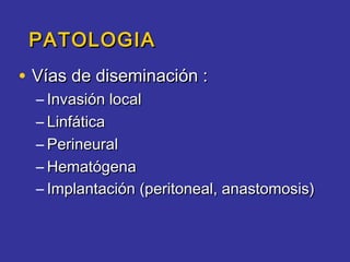 PATOLOGIA
• Vías de diseminación :
  – Invasión local
  – Linfática
  – Perineural
  – Hematógena
  – Implantación (peritoneal, anastomosis)
 