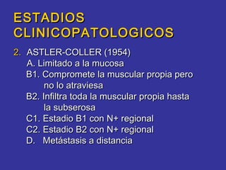 ESTADIOS
CLINICOPATOLOGICOS
2. ASTLER-COLLER (1954)
   A. Limitado a la mucosa
   B1. Compromete la muscular propia pero
        no lo atraviesa
   B2. Infiltra toda la muscular propia hasta
        la subserosa
   C1. Estadio B1 con N+ regional
   C2. Estadio B2 con N+ regional
   D. Metástasis a distancia
 