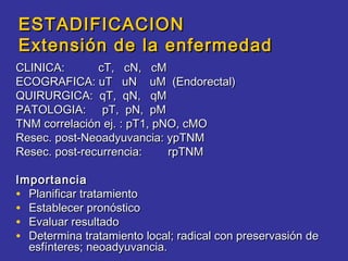 ESTADIFICACION
Extensión de la enfermedad
CLINICA:       cT, cN, cM
ECOGRAFICA: uT uN uM (Endorectal)
QUIRURGICA: qT, qN, qM
PATOLOGIA: pT, pN, pM
TNM correlación ej. : pT1, pNO, cMO
Resec. post-Neoadyuvancia: ypTNM
Resec. post-recurrencia:     rpTNM

Importancia
• Planificar tratamiento
• Establecer pronóstico
• Evaluar resultado
• Determina tratamiento local; radical con preservasión de
  esfínteres; neoadyuvancia.
 