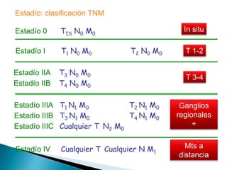 Estadío: clasificación TNM

Estadío 0     TIS N0 M0                       In situ

Estadío I     T1 N0 M0           T2 N0 M0     T 1-2

Estadío IIA   T3 N0 M0
                                              T 3-4
Estadío IIB   T4 N0 M0

Estadío IIIA T1 N1 M0          T2 N1 M0      Ganglios
Estadío IIIB T3 N1 M0          T4 N1 M0     regionales
Estadío IIIC Cualquier T N2 M0                   +


Estadío IV    Cualquier T Cualquier N M1      Mts a
                                            distancia
 