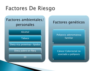 Factores ambientales/
                                  Factores genéticos
     personales
            Alcohol
                                    Poliposis adenomatosa
            Tabaco                          familiar

  Dieta rica proteínas- lípidos

      Dieta pobre en fibra          Cáncer Colorrectal no
                                     asociado a poliposis
               EII
 