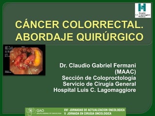 Dr. Claudio Gabriel Fermani
                       (MAAC)
   Sección de Coloproctología
   Servicio de Cirugía General
Hospital Luis C. Lagomaggiore
 