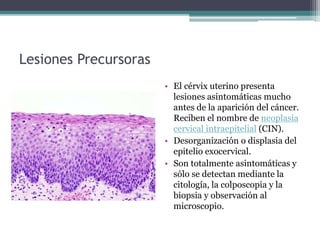 Lesiones Precursoras
• El cérvix uterino presenta
lesiones asintomáticas mucho
antes de la aparición del cáncer.
Reciben el nombre de neoplasia
cervical intraepitelial (CIN).
• Desorganización o displasia del
epitelio exocervical.
• Son totalmente asintomáticas y
sólo se detectan mediante la
citología, la colposcopia y la
biopsia y observación al
microscopio.
 