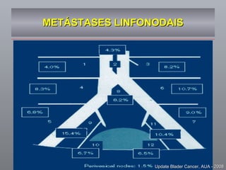 METÁSTASES LINFONODAIS Update Blader Cancer, AUA - 2008 