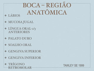 BOCA – REGIÃO
❖   LÁBIOS
              ANATÔMICA
❖   MUCOSA JUGAL

❖   LÍNGUA ORAL-2/3
    ANTERIORES
❖   PALATO DURO
❖   SOALHO ORAL
❖   GENGIVA SUPERIOR
❖   GENGIVA INFERIOR
❖   TRÍGONO            TAWLEY SE 1999
    RETROMOLAR
 