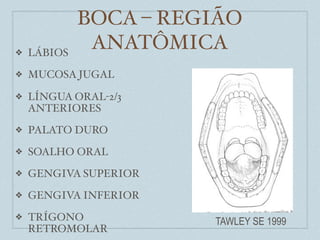 BOCA – REGIÃO
❖   LÁBIOS
              ANATÔMICA
❖   MUCOSA JUGAL

❖   LÍNGUA ORAL-2/3
    ANTERIORES
❖   PALATO DURO
❖   SOALHO ORAL
❖   GENGIVA SUPERIOR
❖   GENGIVA INFERIOR
❖   TRÍGONO            TAWLEY SE 1999
    RETROMOLAR
 