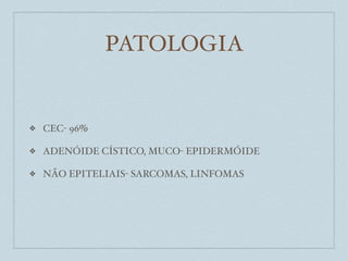 PATOLOGIA


❖   CEC- 96%

❖   ADENÓIDE CÍSTICO, MUCO- EPIDERMÓIDE

❖   NÃO EPITELIAIS- SARCOMAS, LINFOMAS
 
