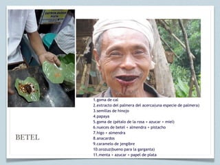 1.goma de cal
        2.extracto del palmera del acerca(una especie de palmera)
        3.semillas de hinojo
        4.papaya
        5.goma de (pétalo de la rosa + azucar + miel)
        6.nueces de betel + almendra + pistacho
        7.higo + almendra
BETEL   8.anacardos
        9.caramelo de jengibre
        10.orozuz(bueno para la garganta)
        11.menta + azucar + papel de plata
 