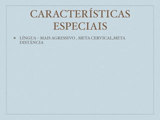 CARACTERÍSTICAS
           ESPECIAIS
❖   LÍNGUA – MAIS AGRESSIVO , META CERVICAL,META
    DISTÂNCIA
 
