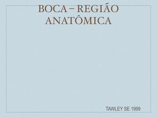 BOCA – REGIÃO
 ANATÔMICA




          TAWLEY SE 1999
 