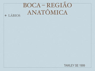 BOCA – REGIÃO
❖   LÁBIOS
              ANATÔMICA




                       TAWLEY SE 1999
 
