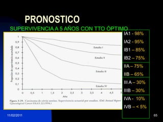 Limite lateral  a 2cm externos de la pared pélvica25/11/200949