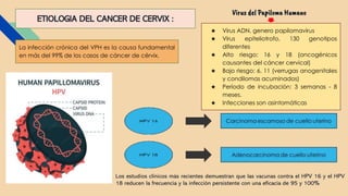 ETIOLOGIA DEL CANCER DE CERVIX :
La infección crónica del VPH es la causa fundamental
en más del 99% de los casos de cáncer de cérvix.
Los estudios clínicos más recientes demuestran que las vacunas contra el HPV 16 y el HPV
18 reducen la frecuencia y la infección persistente con una eficacia de 95 y 100%
Virus del Papiloma Humano
★ Virus ADN, genero papilomavirus
★ Virus epiteliotrofo, 130 genotipos
diferentes
★ Alto riesgo: 16 y 18 (oncogénicos
causantes del cáncer cervical)
★ Bajo riesgo: 6, 11 (verrugas anogenitales
y condilomas acuminados)
★ Período de incubación: 3 semanas - 8
meses.
★ Infecciones son asintomáticas
 