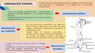 DISEMINACIÓN TUMORAL El patrón de crecimiento local puede ser exofítico si el cáncer nace
del ectocérvix, o endofítico si se origina en el conducto
endocervical
Diseminación linfática
- Hacia los ganglios paracervicales o parametriales →
ganglios de la fosa obturatriz → de las ilíacas internas y
externas.
- Posteriormente invade los ganglios de la ilíaca primitiva →
ganglios preaórticos.
Diseminación
por extensión
Diseminación
Hemática
- Vía más frecuente, se extiende a la vagina en
forma precoz, afectando los fondo de saco
vaginal, parametrios (ligamentos uterosacros y
cardinales) y recto.
- Invade todo el espacio parametrial o
paracervical, da origen a la "pelvis congelada".
- La invasión de órganos vecinos, da lugar a
fístulas.Puede condicionar la obstrucción ureteral.
- A través del conducto torácico desde los ganglios
aórticos.
- Localización y frecuencia de metástasis: pulmón 21%,
óseas 16%, ganglios paraaórticos 11%, cavidad
abdominal 8%, ganglios supraclaviculares 7%.
 