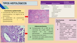 TIPOS HISTOLÓGICOS
Carcinoma epidermoide
 Comprende 75% de los cánceres
cervicouterinos, se origina en el
ectocérvix.
 Se subdividen en carcinomas
queratinizantes y no
queratinizantes.
Adenocarcinoma
 Comprenden 20 a 25% de los
cánceres de cuello uterino, se
originan en las células
glandulares endocervicales
productoras de moco.
 Confieren al cuello uterino forma
de barril palpable.
Carcinomas cervicales
mixtos
 Son raras.
 Adenoescamoso: está
poco diferenciado y
poco queratinizado.
 Carcinoma de células
vidriosas: las células
tienen citoplasma con
apariencia de vidrio
molido y núcleo
prominente con nucléolos
redondeados.
 