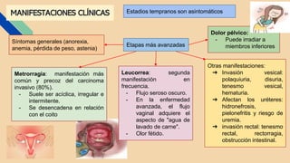 MANIFESTACIONES CLÍNICAS Estadios tempranos son asintomáticos
Etapas más avanzadas
Metrorragia: manifestación más
común y precoz del carcinoma
invasivo (80%).
- Suele ser acíclica, irregular e
intermitente.
- Se desencadena en relación
con el coito
Leucorrea: segunda
manifestación en
frecuencia.
- Flujo seroso oscuro.
- En la enfermedad
avanzada, el flujo
vaginal adquiere el
aspecto de "agua de
lavado de carne".
- Olor fétido.
Dolor pélvico:
- Puede irradiar a
miembros inferiores
Síntomas generales (anorexia,
anemia, pérdida de peso, astenia)
Otras manifestaciones:
➔ Invasión vesical:
polaquiuria, disuria,
tenesmo vesical,
hematuria.
➔ Afectan los uréteres:
hidronefrosis,
pielonefritis y riesgo de
uremia.
➔ invasión rectal: tenesmo
rectal, rectorragia,
obstrucción intestinal.
 