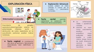 EXPLORACIÓN FÍSICA
Crecimiento de ganglios
supraclaviculares/inguinales, edema de
extremidades inferiores, ascitis o
disminución de ruidos respiratorios en la
auscultación pulmonar podrían indicar
metástasis.
Enfermedad avanzada:
★ Exploración bimanual:
puede palpar el útero
crecido a causa de la
invasión y crecimiento
tumorales.
★ Tacto rectal: permite
determinar la existencia de
infiltración de los parametrios
★ Tacto vaginal: la consistencia
del cérvix es gomosa y típicamente
redondeado, bien delimitado y
móvil.
 La enfermedad
visible → apariencia
variable.
 Lesiones se vean
como crecimientos
exofítico o
endofítico; masa
polipoide, tejido
papilar o cuello
uterino tenga forma
de barril; ulceración
cervical, masa
glandular, o tejido
necrótico.
 