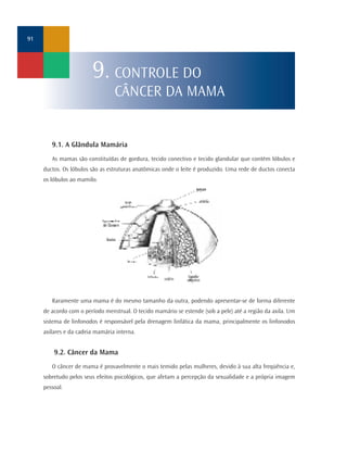 9.1. A Glândula Mamária
As mamas são constituídas de gordura, tecido conectivo e tecido glandular que contém lóbulos e
ductos. Os lóbulos são as estruturas anatômicas onde o leite é produzido. Uma rede de ductos conecta
os lóbulos ao mamilo.
Raramente uma mama é do mesmo tamanho da outra, podendo apresentar-se de forma diferente
de acordo com o período menstrual. O tecido mamário se estende (sob a pele) até a região da axila. Um
sistema de linfonodos é responsável pela drenagem linfática da mama, principalmente os linfonodos
axilares e da cadeia mamária interna.
9.2. Câncer da Mama
O câncer de mama é provavelmente o mais temido pelas mulheres, devido à sua alta freqüência e,
sobretudo pelos seus efeitos psicológicos, que afetam a percepção da sexualidade e a própria imagem
pessoal.
91
9. CONTROLE DO
CÂNCER DA MAMA
 