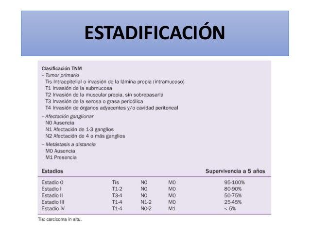 Cáncer De Colon Recto Y Ano