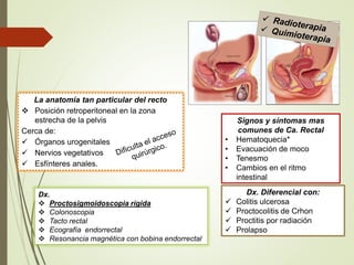 La anatomía tan particular del recto
 Posición retroperitoneal en la zona
estrecha de la pelvis
Cerca de:
 Órganos urogenitales
 Nervios vegetativos
 Esfínteres anales.
Signos y síntomas mas
comunes de Ca. Rectal
• Hematoquecia*
• Evacuación de moco
• Tenesmo
• Cambios en el ritmo
intestinal
Dx. Diferencial con:
 Colitis ulcerosa
 Proctocolitis de Crhon
 Proctitis por radiación
 Prolapso
Dx.
 Proctosigmoidoscopia rígida
 Colonoscopia
 Tacto rectal
 Ecografía endorrectal
 Resonancia magnética con bobina endorrectal
 