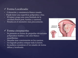  Forma Localizada:
- Coloración y consistencia blanco rosado.
- Puede tener una superficie polipoidea o lisa.
- El tumor ocupa una zona limitada de la
cavidad (Pared post, fundus y cuernos).
- Penetra en el miometro más precozmente.

 Forma circunscrita:
-

-

Se presenta en forma de pequeñas elevaciones
polipiodeas friables y de color blanco
amarillentas.
Situadas mas comúnmente en los cuernos.
Un legrado podría extirpar toda la lesión.
Se pudiera considerar el 1er estadío de forma
difusa y localizada.

 